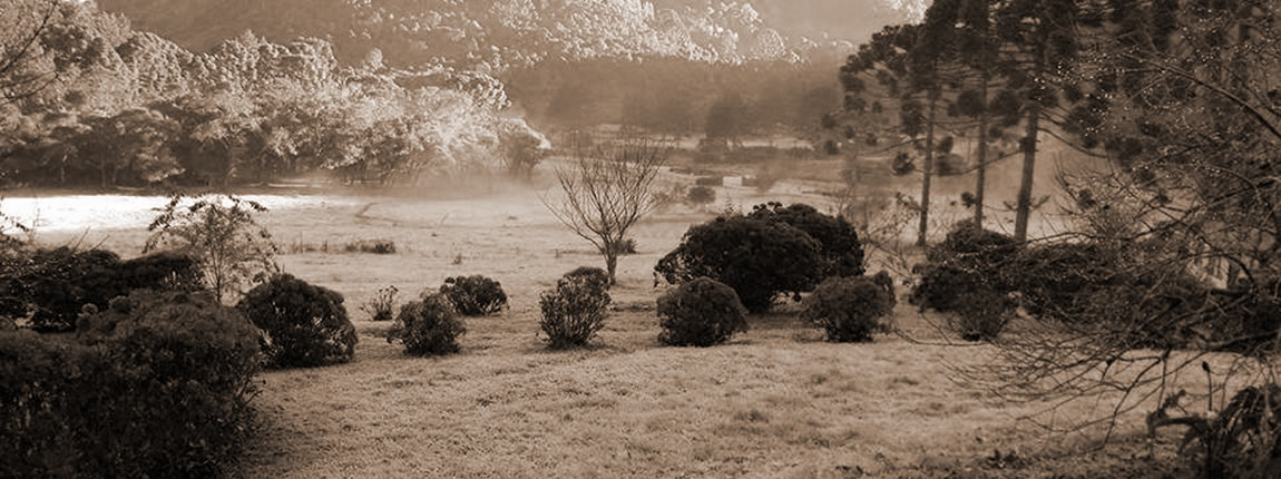 Zona rual do múnicipio de Gonçalves - MG após geada (foto em preto e branco)